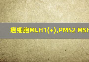 癌细胞MLH1(+),PMS2 MSH2 Ki67